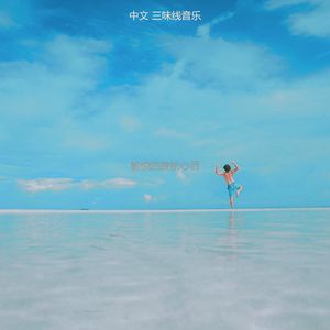 一尘不染声音印象数