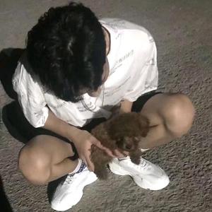 爱情是一场梦（翻自 群星）