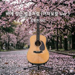 비에 젖은 벚꽃처럼 (여자보컬 Ver.)