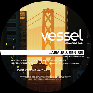 Never Come Down (Nonfiction Remix)