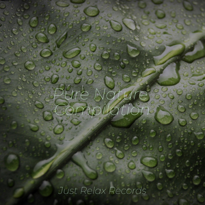 Soulful Cajun Serenade