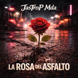 La rosa del asfalto