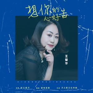 想你的心好苦 (走心版伴奏)