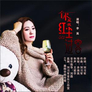 你是我红尘的过客 (DJ伟然版)