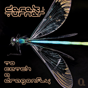 To Catch a Dragonfly