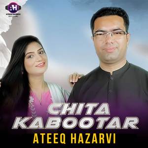 Chita Kabootar