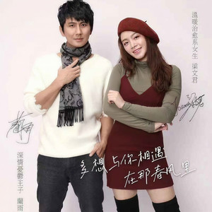 多想与你相遇在那春风里 (DJ版)