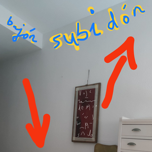 bajon,subidon