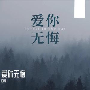 爱你无悔 伴奏