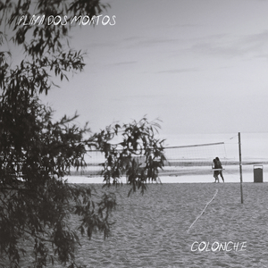 Colonche
