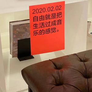 坐飞艇去日本芬兰和奥地利