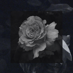 interlude