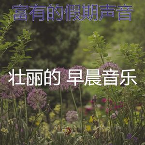 抚慰的咖啡回忆