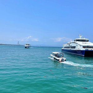 我爱的她为何不回答（翻自 庸人）