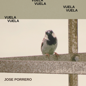 Vuela