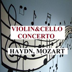 Violin Concerto No. 5 in A Major, K. 219: I. Allegro aperto