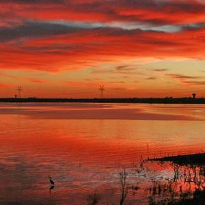 谈恋爱前不如先养猫