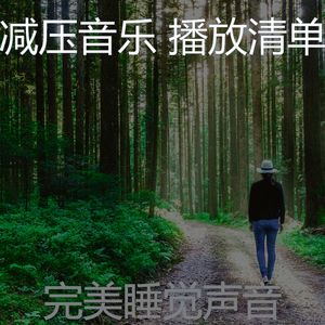 抚慰的冷静的回忆