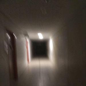 the high priestess [reversed]