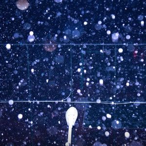 我想爱你浅浅不停息