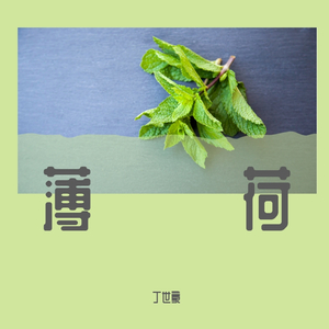 薄荷demo