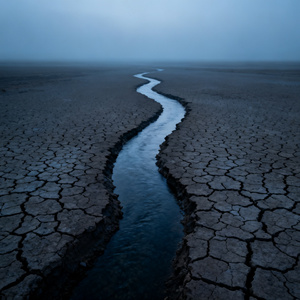 痴心只为一人伤