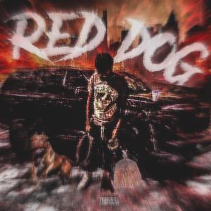 Red Dog