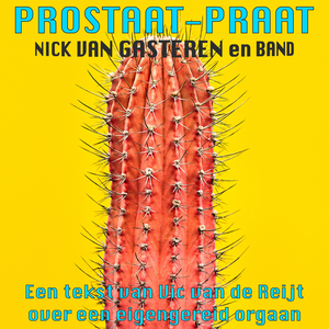 Prostaat-Praat