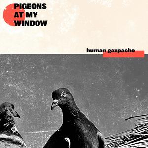 square folding instructions