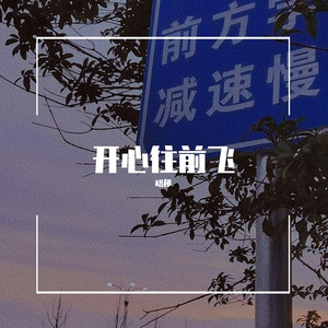 开心往前飞