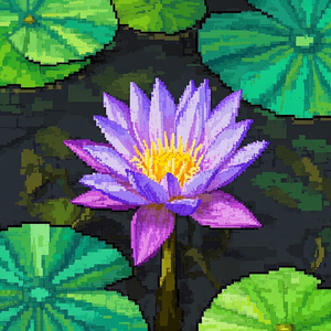 Lotus Bloom