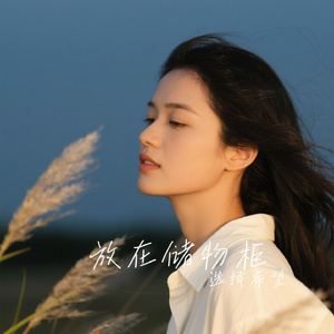 放在储物柜