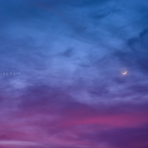 4월의 어느 봄날