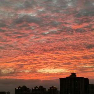 谨酌言(滚动歌词)