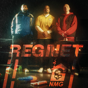 REGNET