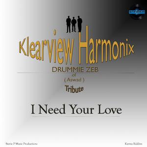 I Need Your Love (feat. Klearview Harmonix)
