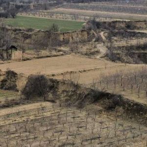 荒径望_内求于己