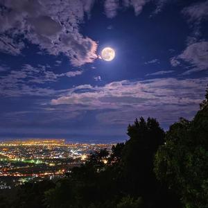 MOONLIGHT // BLOODLINES