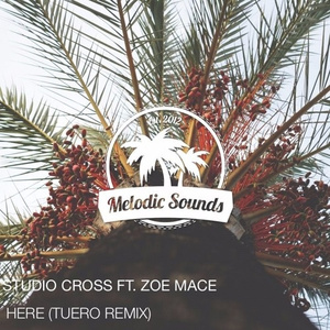 Here (Tuero Remix)