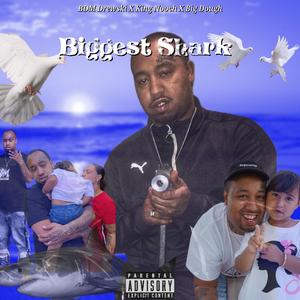 Biggest Shark (feat. King Nooch & Big Dough)