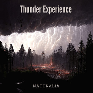 Medium rain, Thunder Threatening
