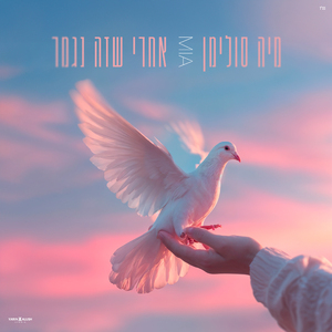 אחרי שזה נגמר