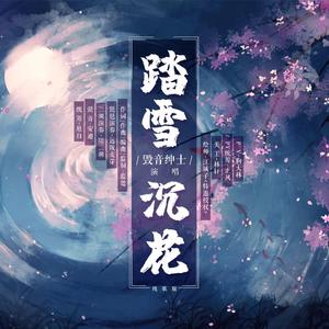 剑网三苍花同人曲《踏雪沉花》-纯歌版