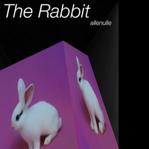 The Rabbit