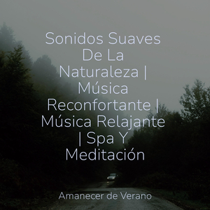 El Hechizo Silencioso de Crystal Frost