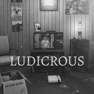 Ludicrous (Picture Boxes)