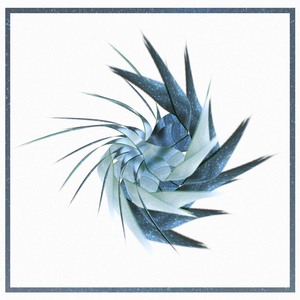 Sinusoida (Original Mix)