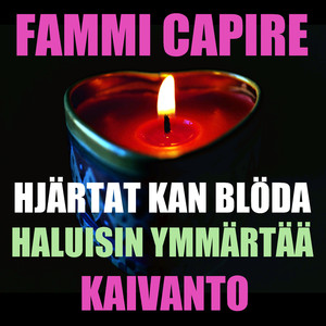 Haluisin ymmärtää