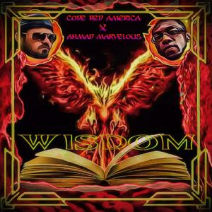 Wisdom (feat. Ahmad Marvelous)