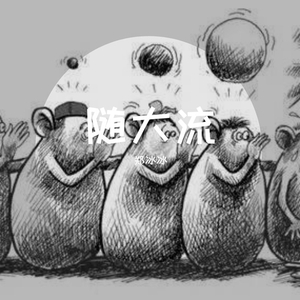 随大流 (DJ小波版)